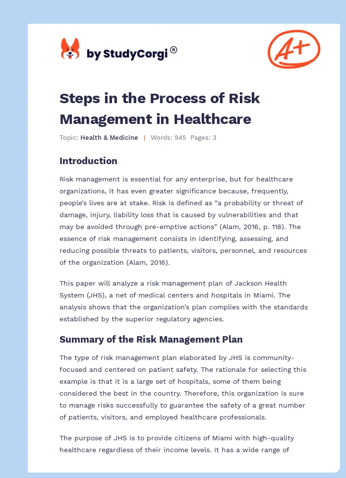 Steps in the Process of Risk Management in Healthcare. Page 1