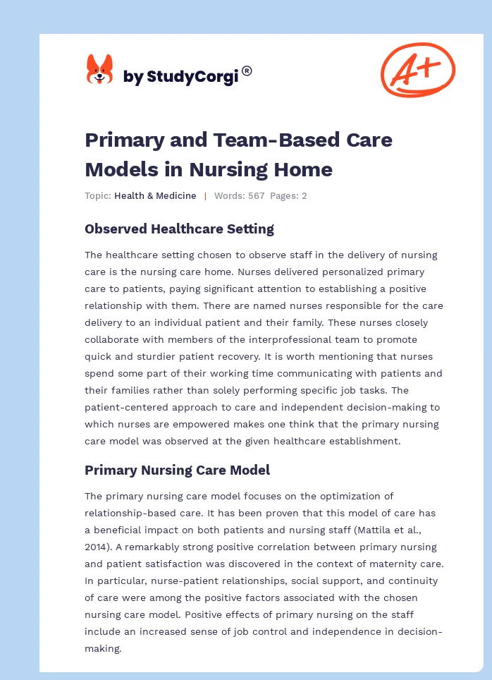 Primary and Team-Based Care Models in Nursing Home. Page 1