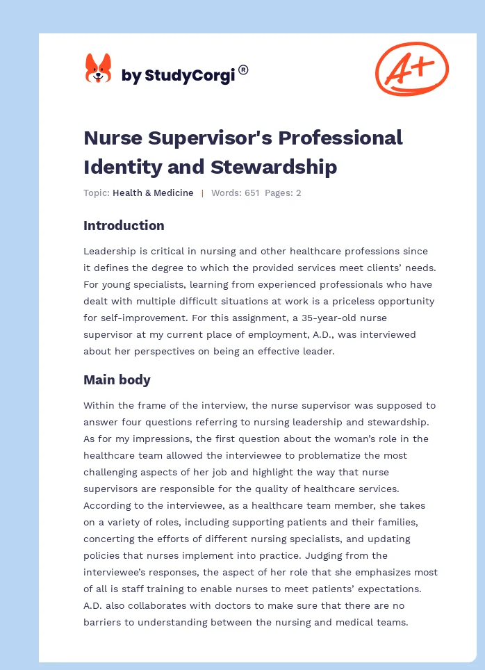 Nurse Supervisor's Professional Identity and Stewardship. Page 1