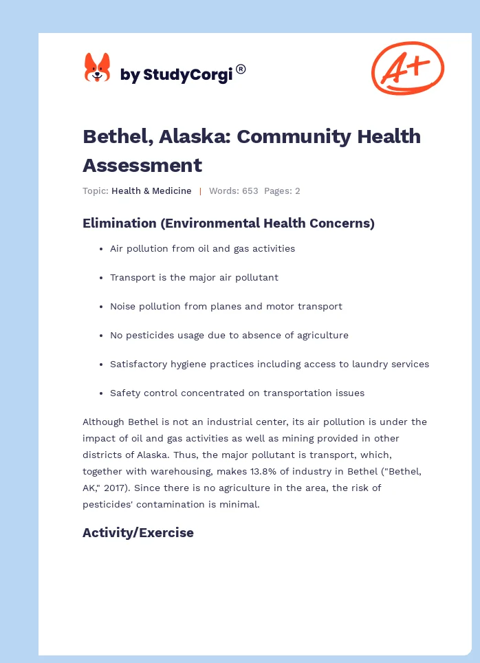Bethel, Alaska: Community Health Assessment. Page 1