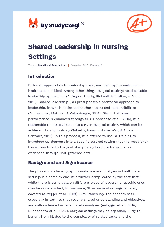 Shared Leadership in Nursing Settings. Page 1