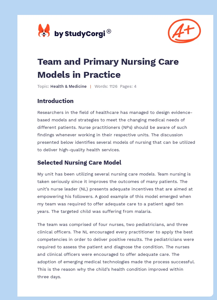 Team and Primary Nursing Care Models in Practice. Page 1