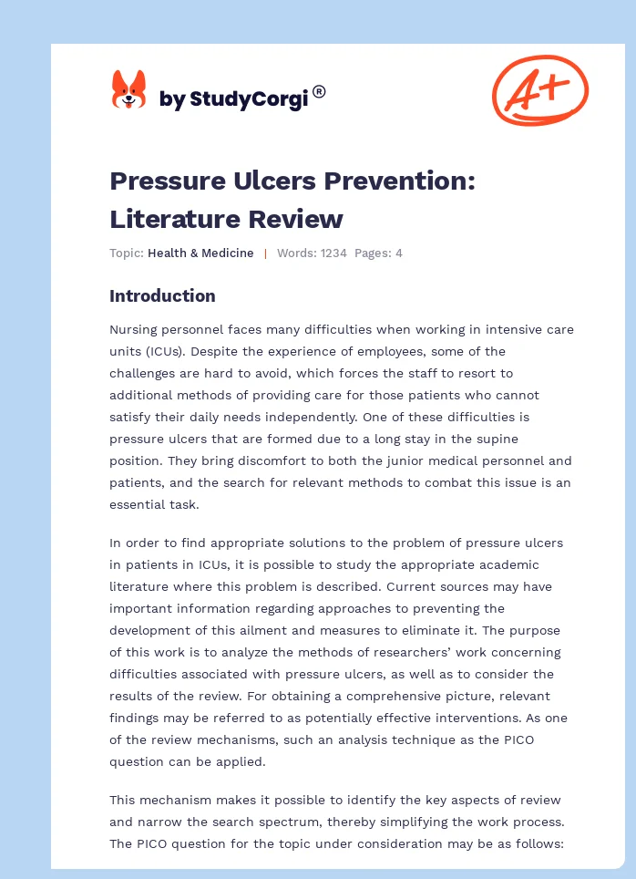 Pressure Ulcers Prevention: Literature Review. Page 1