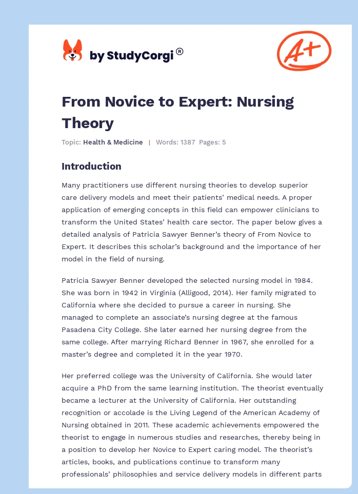 From Novice to Expert: Nursing Theory. Page 1