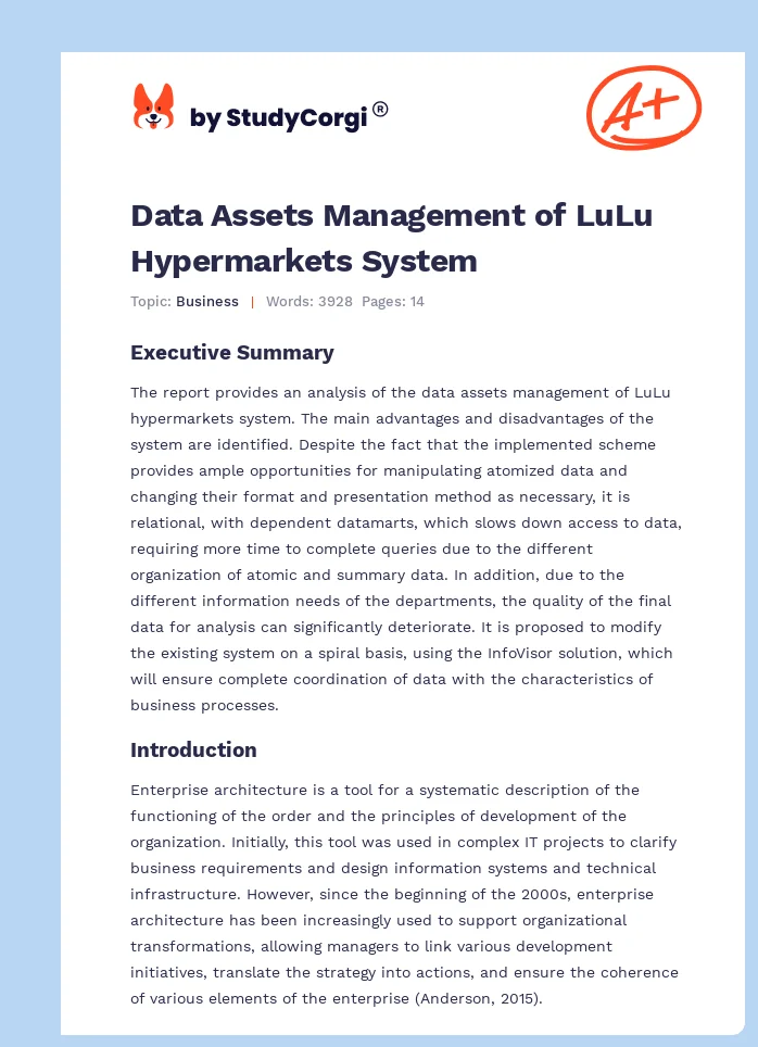 Data Assets Management of LuLu Hypermarkets System. Page 1