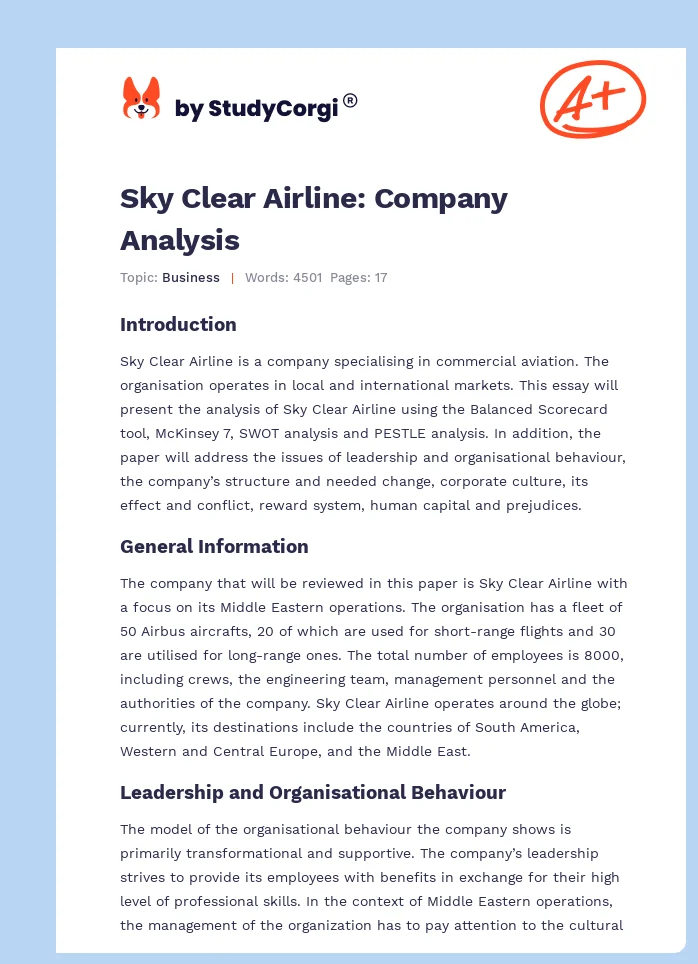 Sky Clear Airline: Company Analysis. Page 1