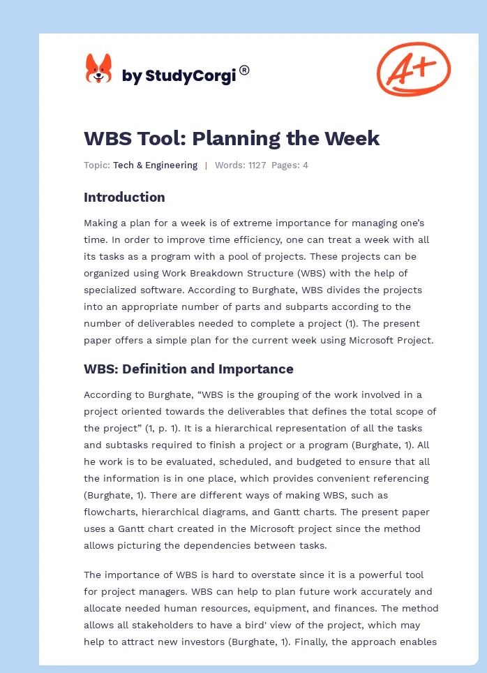 WBS Tool: Planning the Week. Page 1