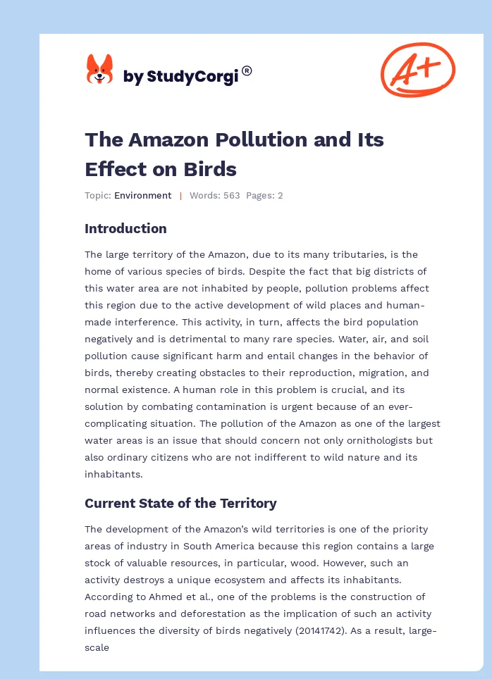 The Amazon Pollution and Its Effect on Birds. Page 1