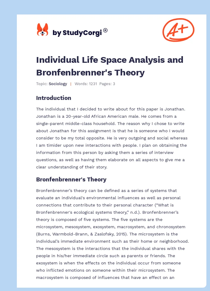 Individual Life Space Analysis and Bronfenbrenner's Theory. Page 1