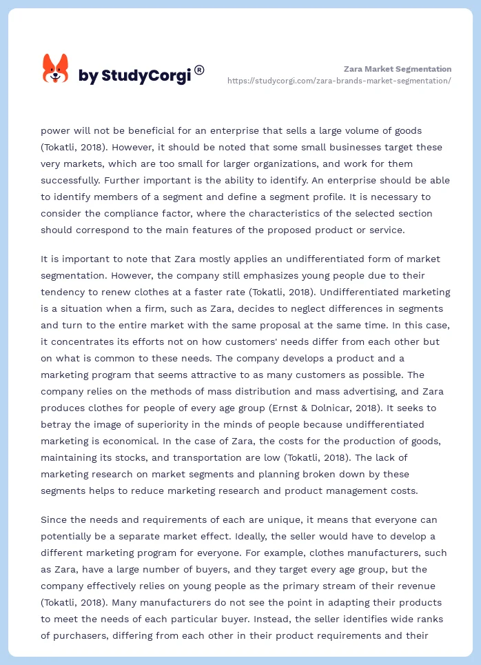 Zara Market Segmentation. Page 2