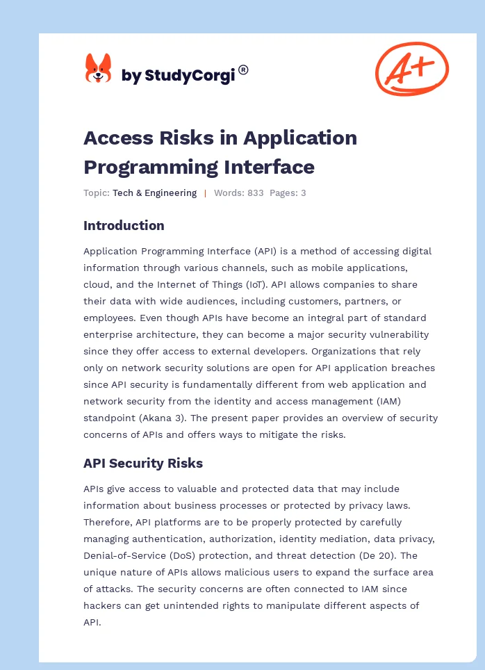 Access Risks in Application Programming Interface. Page 1