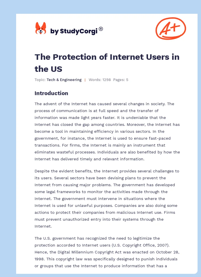 The Protection of Internet Users in the US. Page 1