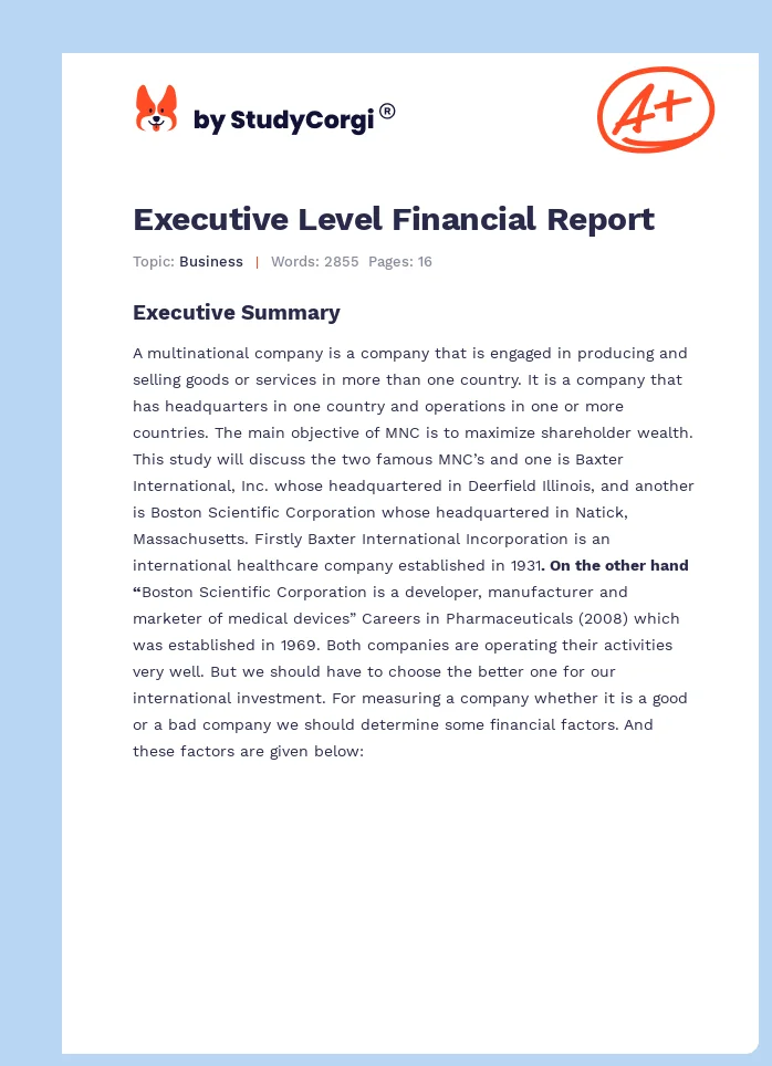 Executive Level Financial Report. Page 1