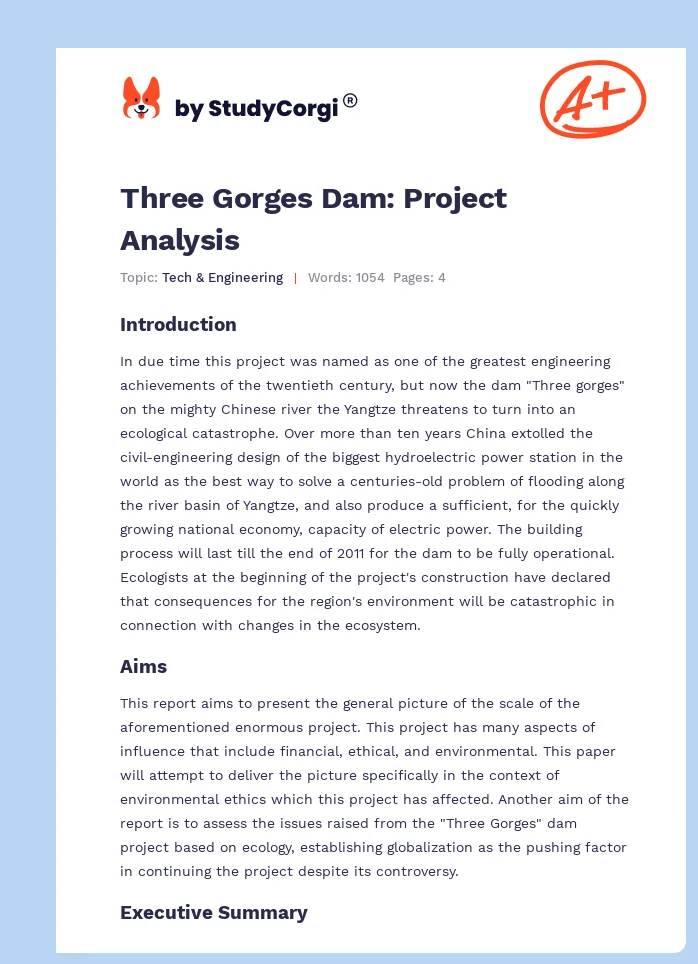 Three Gorges Dam: Project Analysis. Page 1