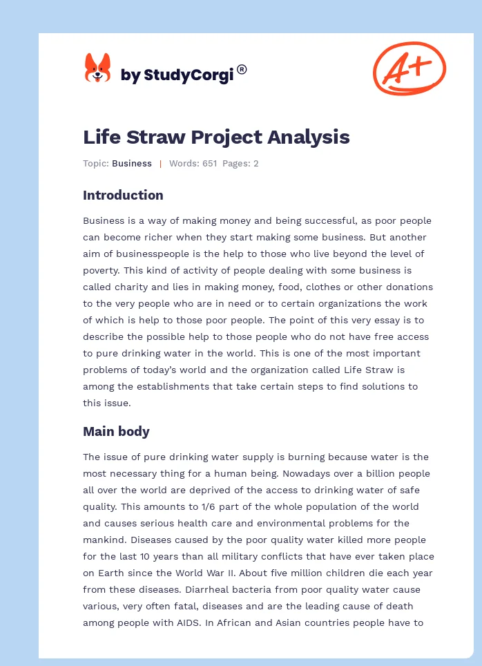 Life Straw Project Analysis. Page 1