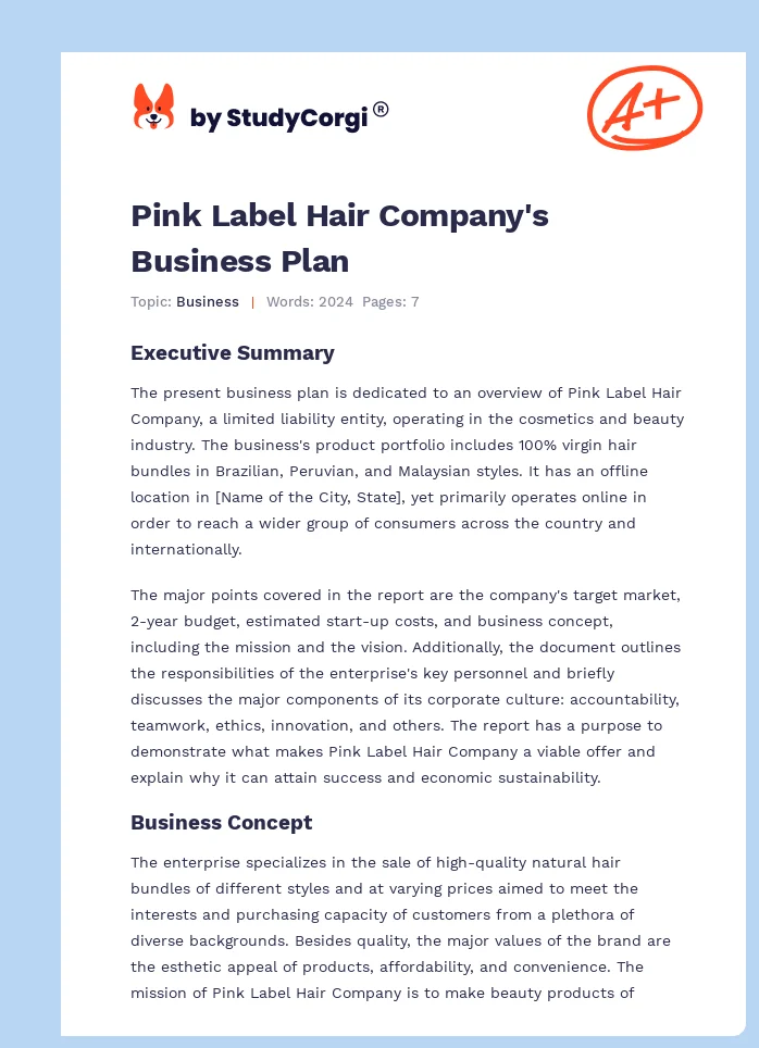 Pink Label Hair Company's Business Plan. Page 1