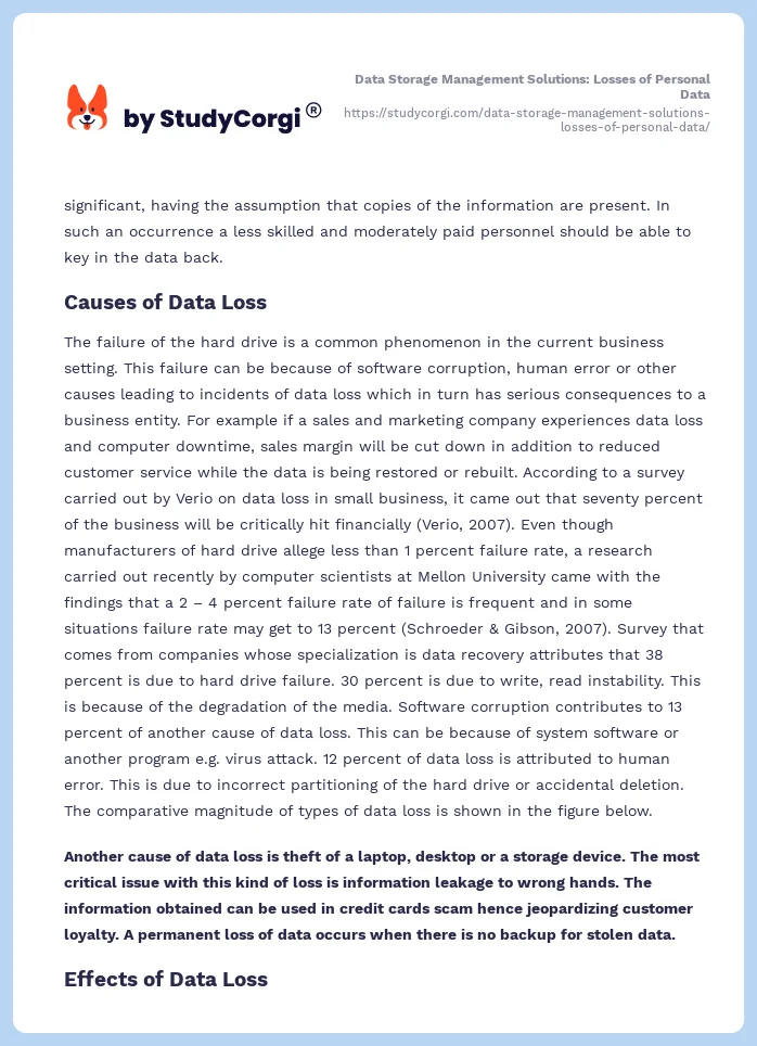 Data Storage Management Solutions: Losses of Personal Data. Page 2