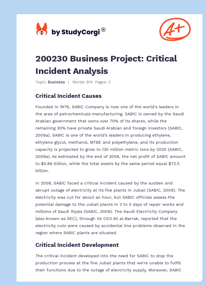 200230 Business Project: Critical Incident Analysis. Page 1