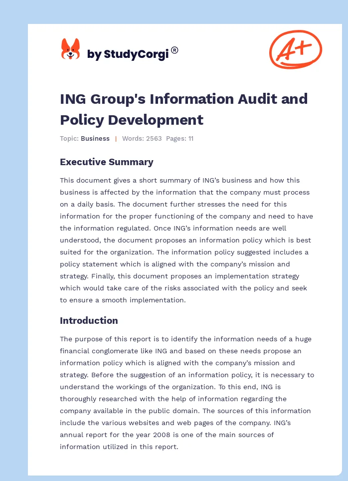 ING Group's Information Audit and Policy Development. Page 1