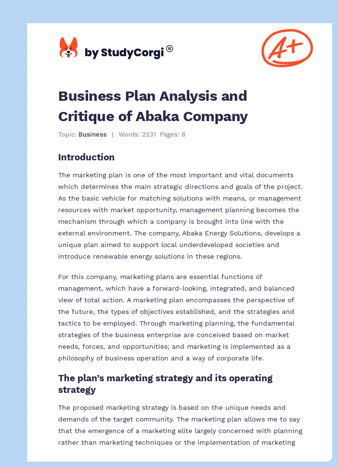 Business Plan Analysis and Critique of Abaka Company. Page 1