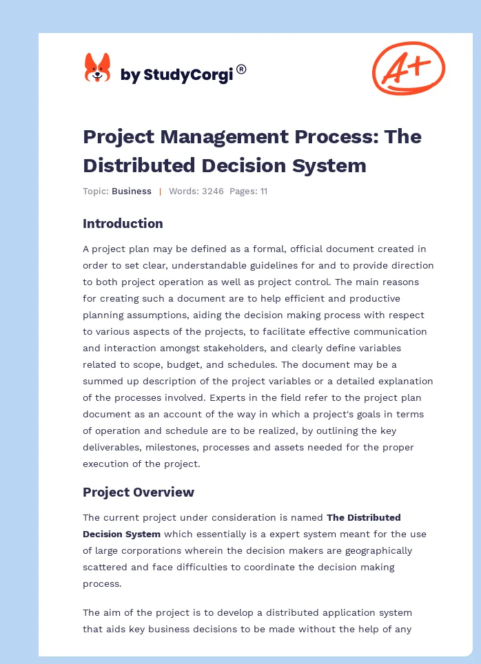 Project Management Process: The Distributed Decision System. Page 1