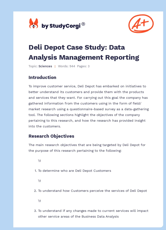 Deli Depot Case Study: Data Analysis Management Reporting. Page 1