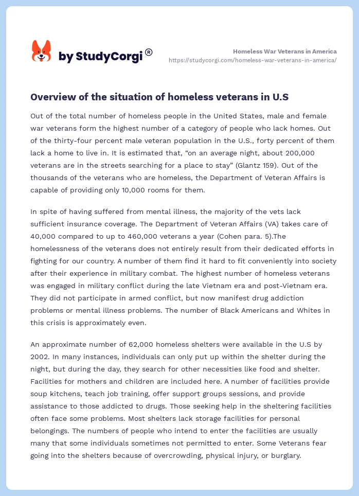 Homeless War Veterans in America. Page 2