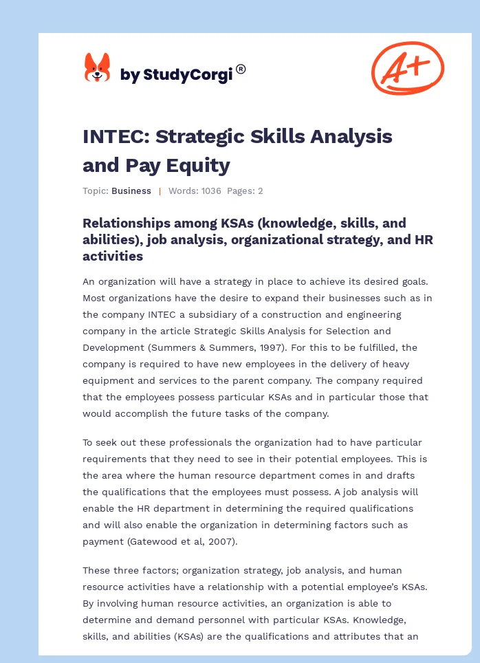 INTEC: Strategic Skills Analysis and Pay Equity. Page 1