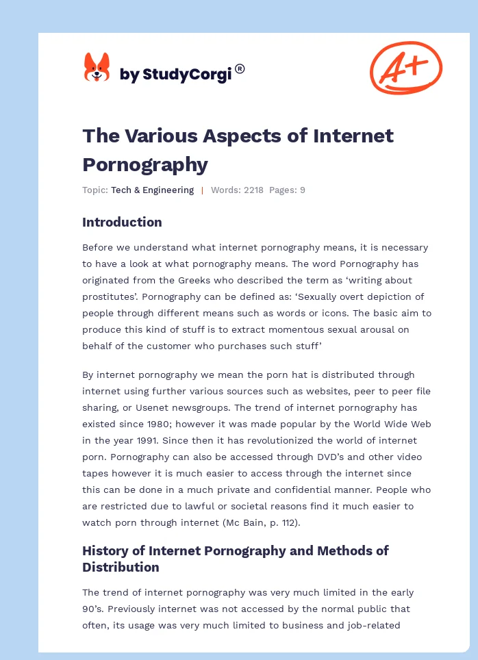 The Various Aspects of Internet Pornography. Page 1