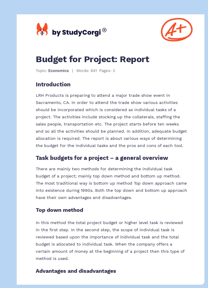 Budget for Project: Report. Page 1