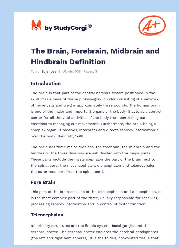 The Brain, Forebrain, Midbrain and Hindbrain Definition. Page 1