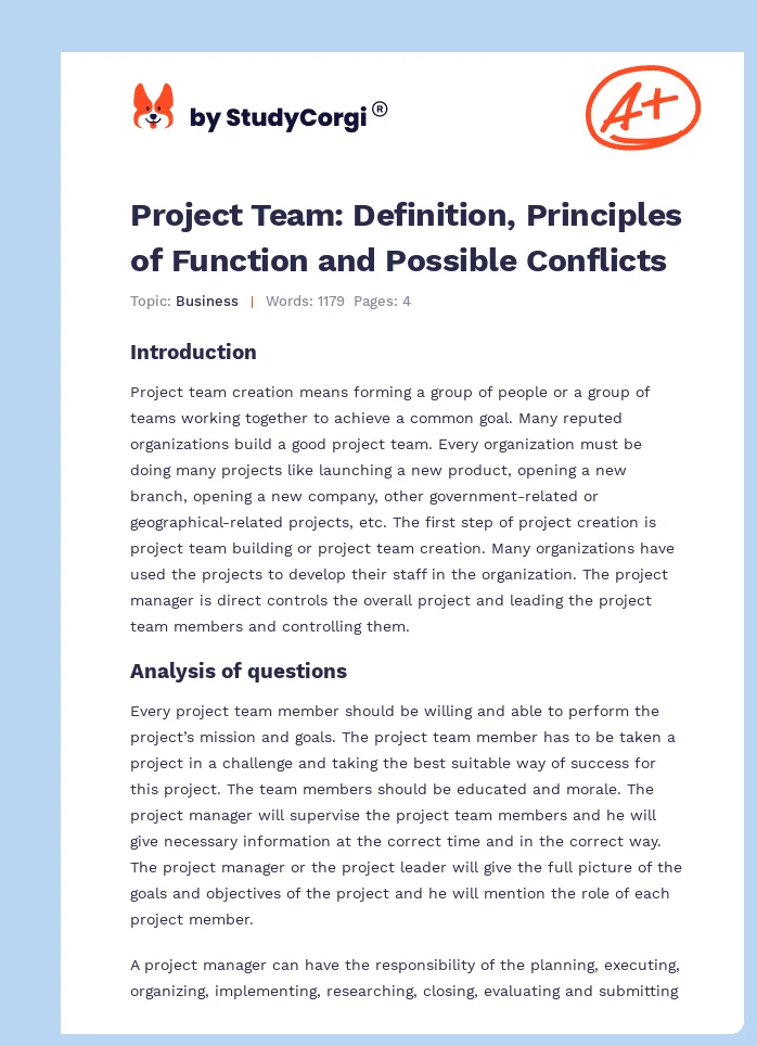 Project Team: Definition, Principles of Function and Possible Conflicts. Page 1