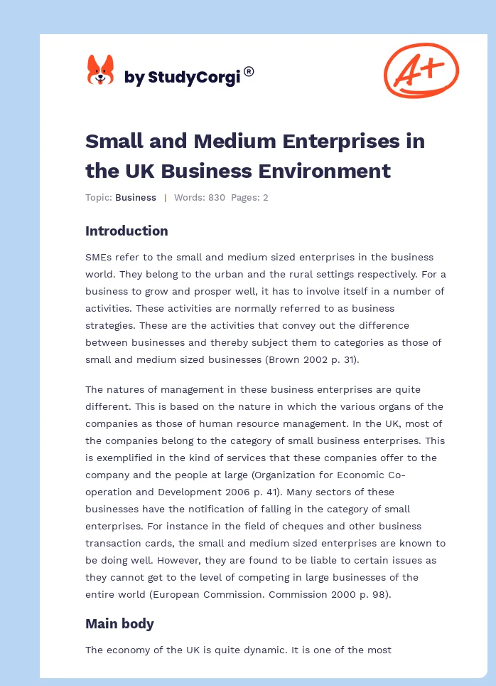 Small and Medium Enterprises in the UK Business Environment. Page 1