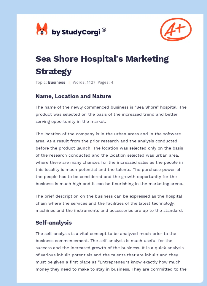 Sea Shore Hospital's Marketing Strategy. Page 1