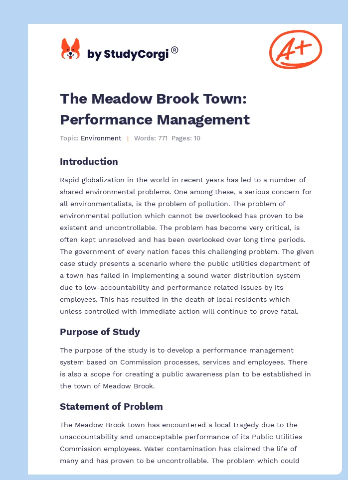 The Meadow Brook Town: Performance Management. Page 1