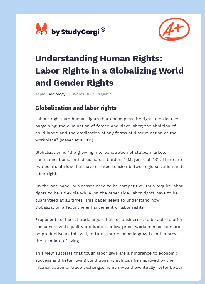 Understanding Human Rights: Labor Rights in a Globalizing World and Gender Rights. Page 1