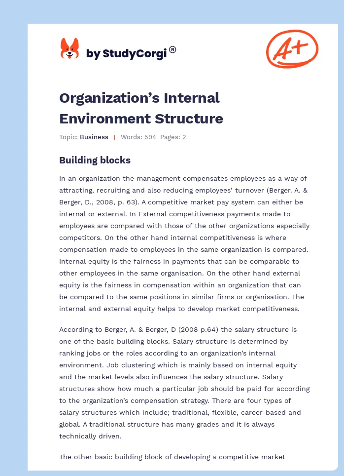 Organization’s Internal Environment Structure. Page 1