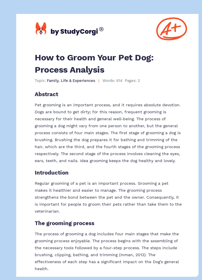 How to Groom Your Pet Dog: Process Analysis. Page 1