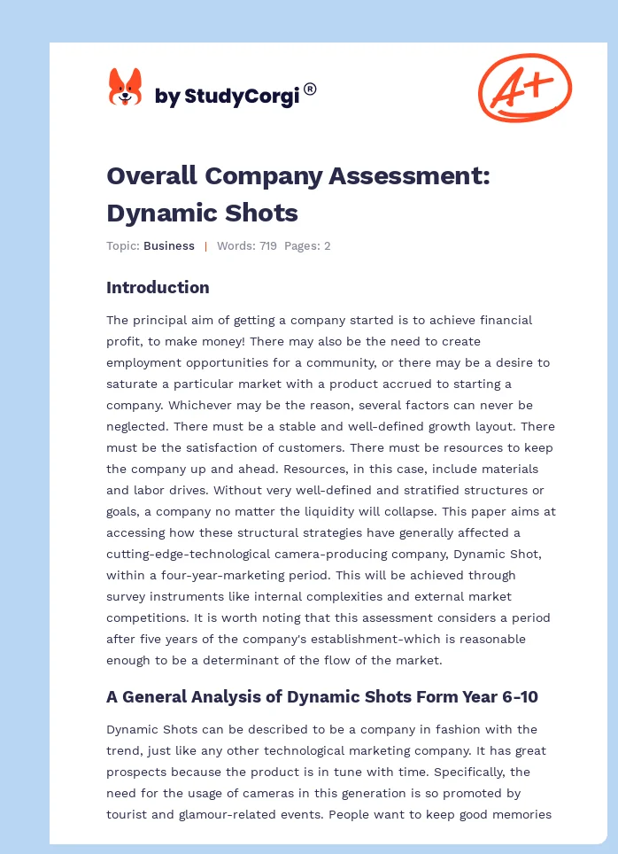 Overall Company Assessment: Dynamic Shots. Page 1
