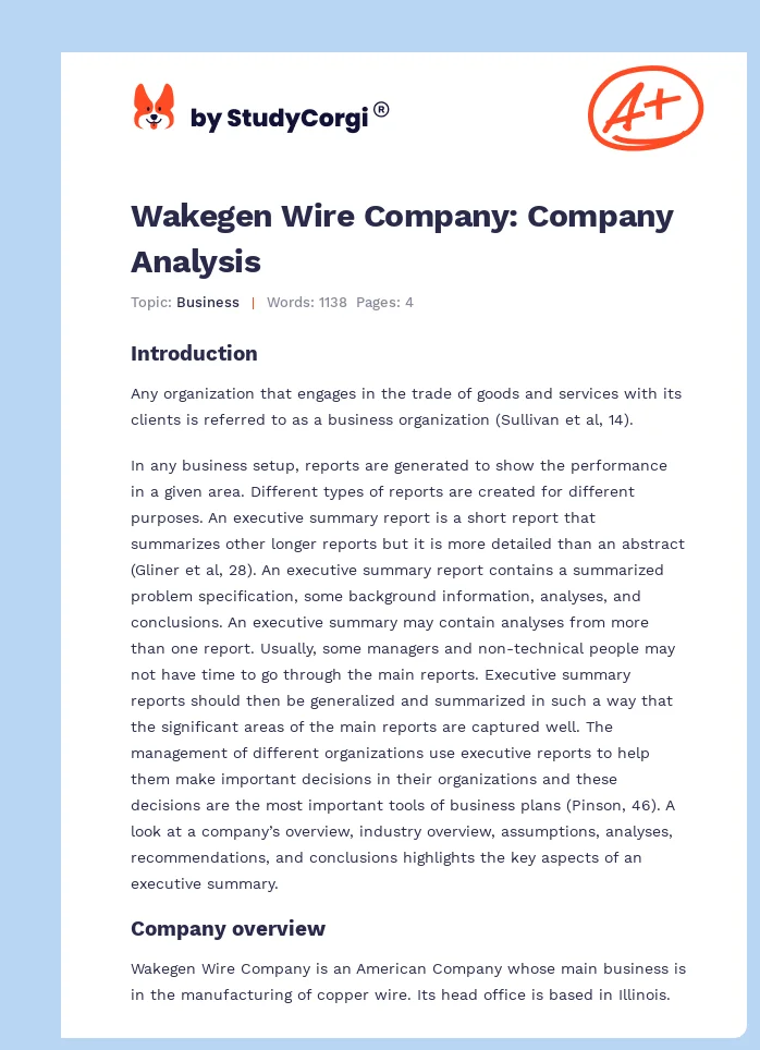 Wakegen Wire Company: Company Analysis. Page 1