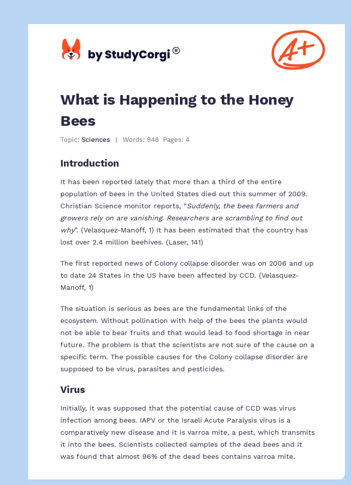 What is Happening to the Honey Bees. Page 1