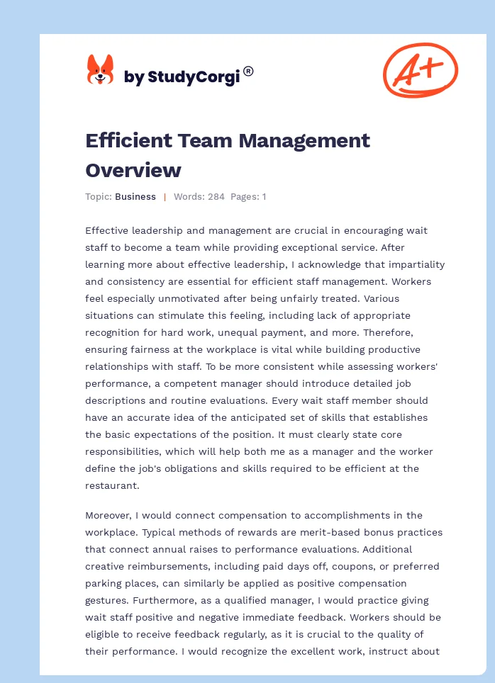 Efficient Team Management Overview. Page 1