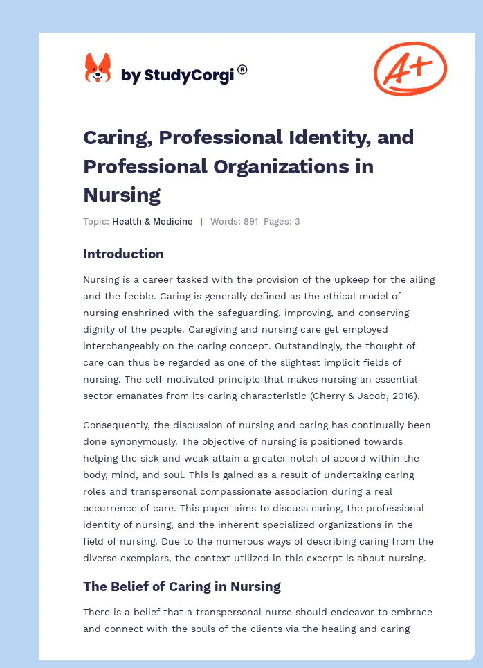 Caring, Professional Identity, and Professional Organizations in Nursing. Page 1