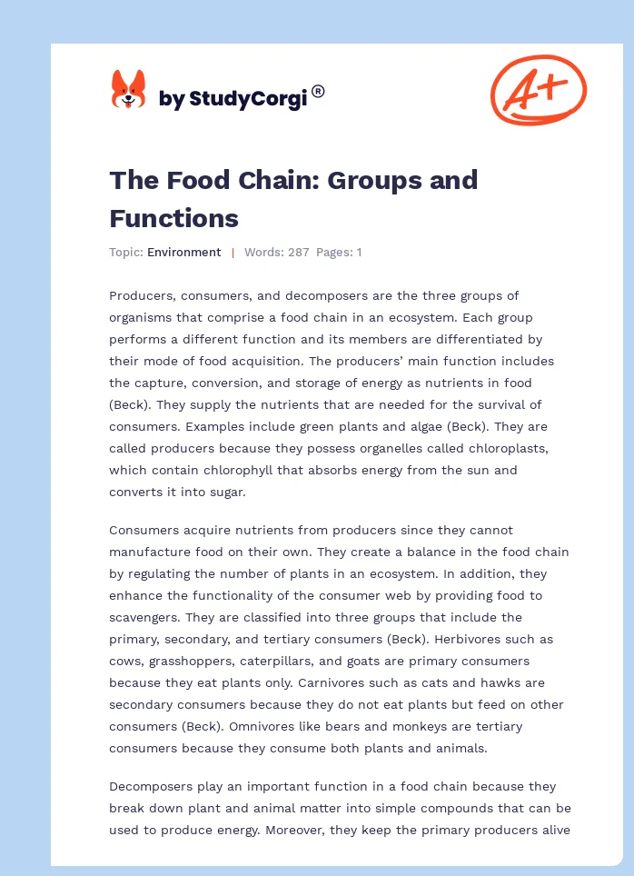 The Food Chain: Groups and Functions. Page 1