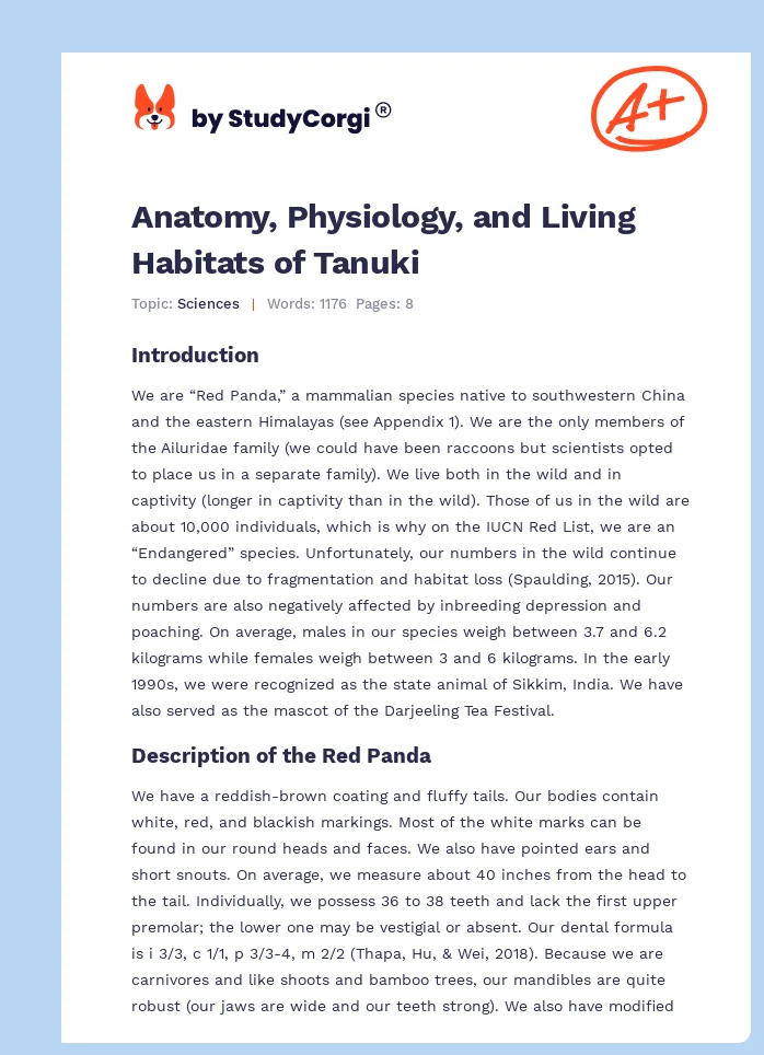 Anatomy, Physiology, and Living Habitats of Tanuki. Page 1