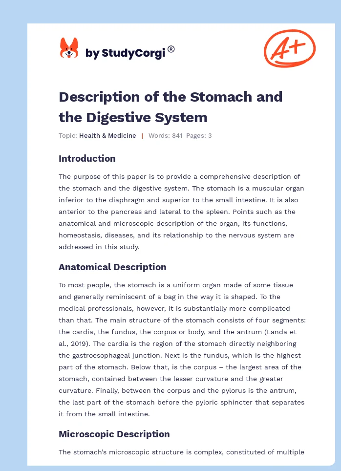 Description of the Stomach and the Digestive System. Page 1