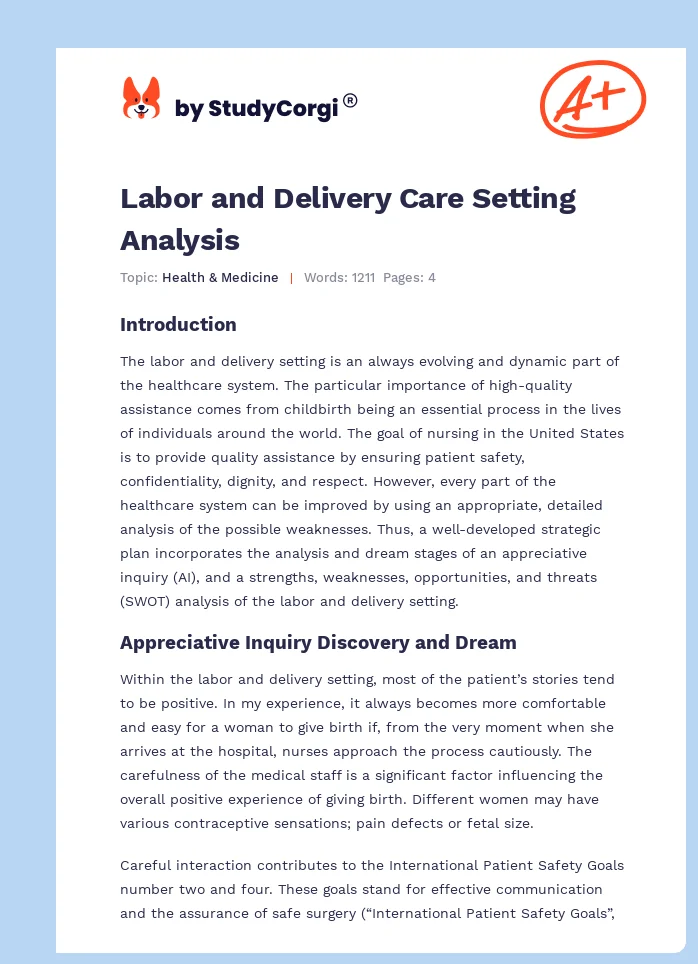 Labor and Delivery Care Setting Analysis. Page 1