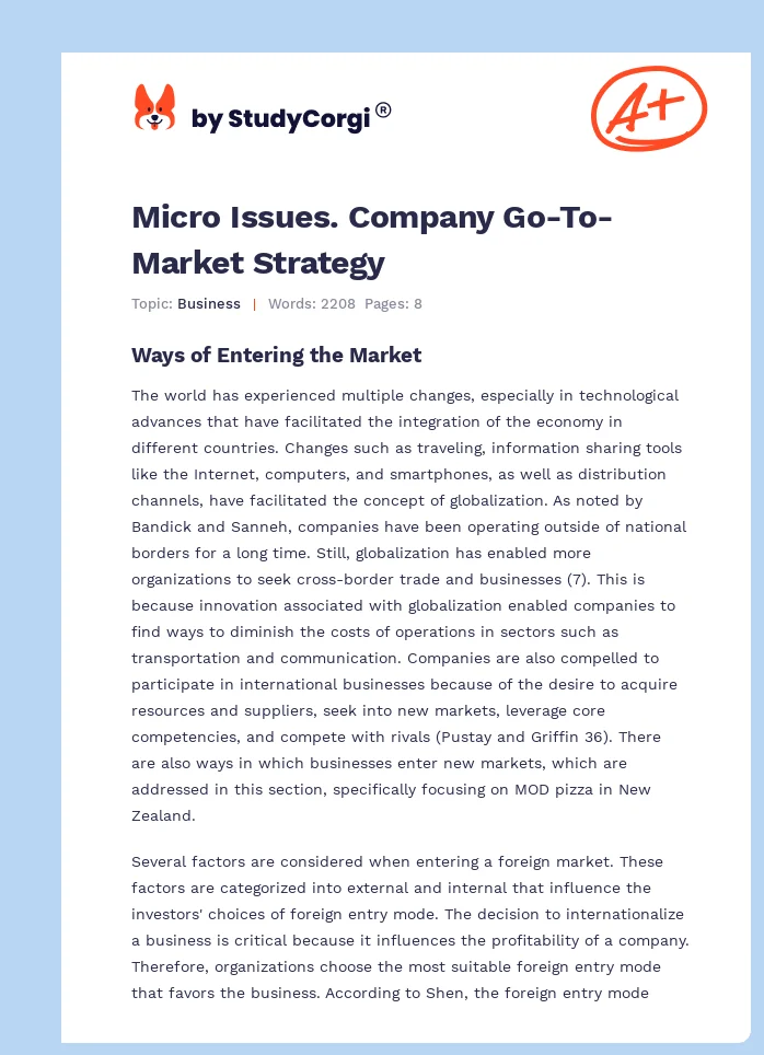 Micro Issues. Company Go-To-Market Strategy. Page 1