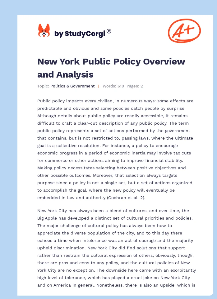 New York Public Policy Overview and Analysis. Page 1