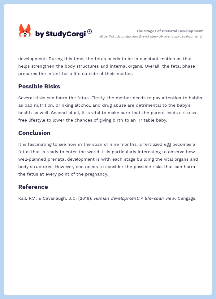 The Stages of Prenatal Development. Page 2